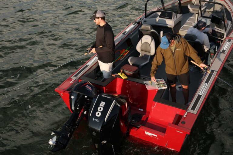 Fishmaster 196