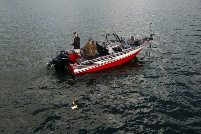 Fishmaster 196